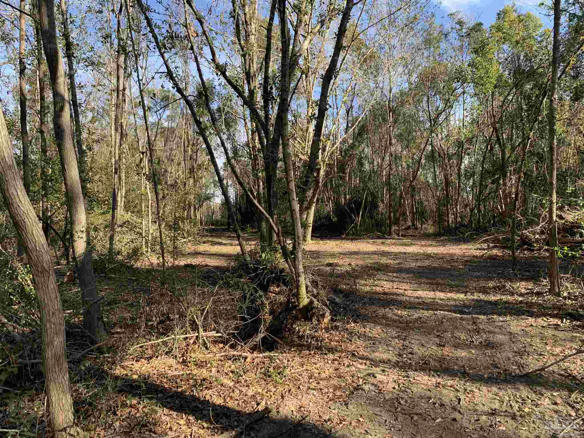 2793 Pine Forest Road Cantonment, FL 32533 - Photo 15 of 17 Gallery Image 15