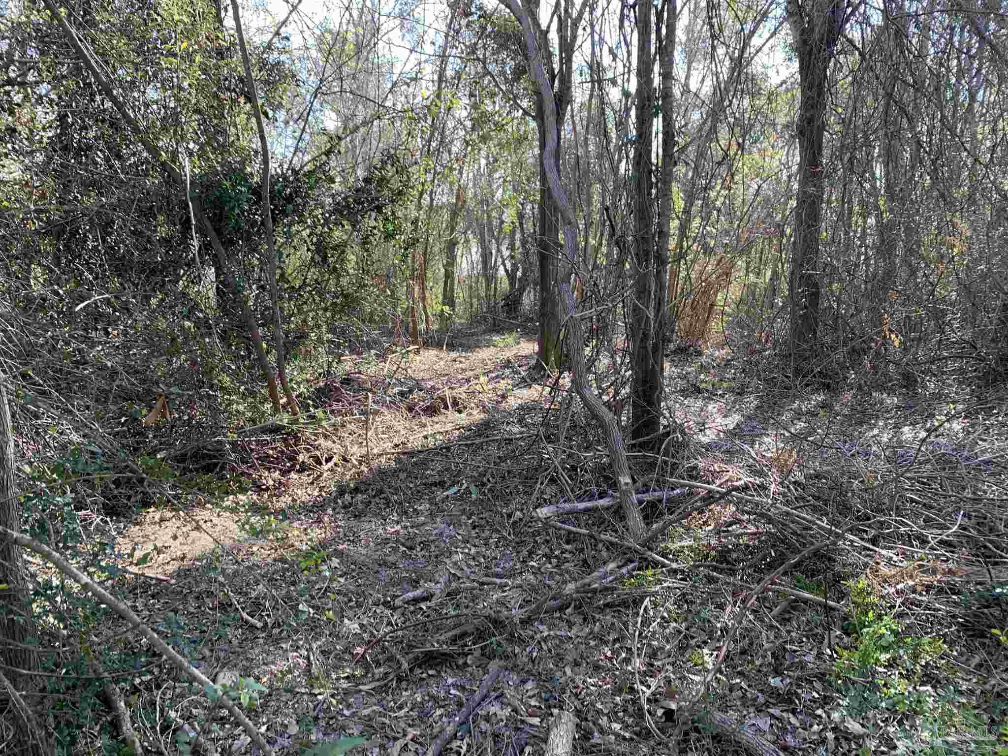 2793 Pine Forest Road Cantonment, FL 32533 - Photo 17 of 17 Gallery Image 17