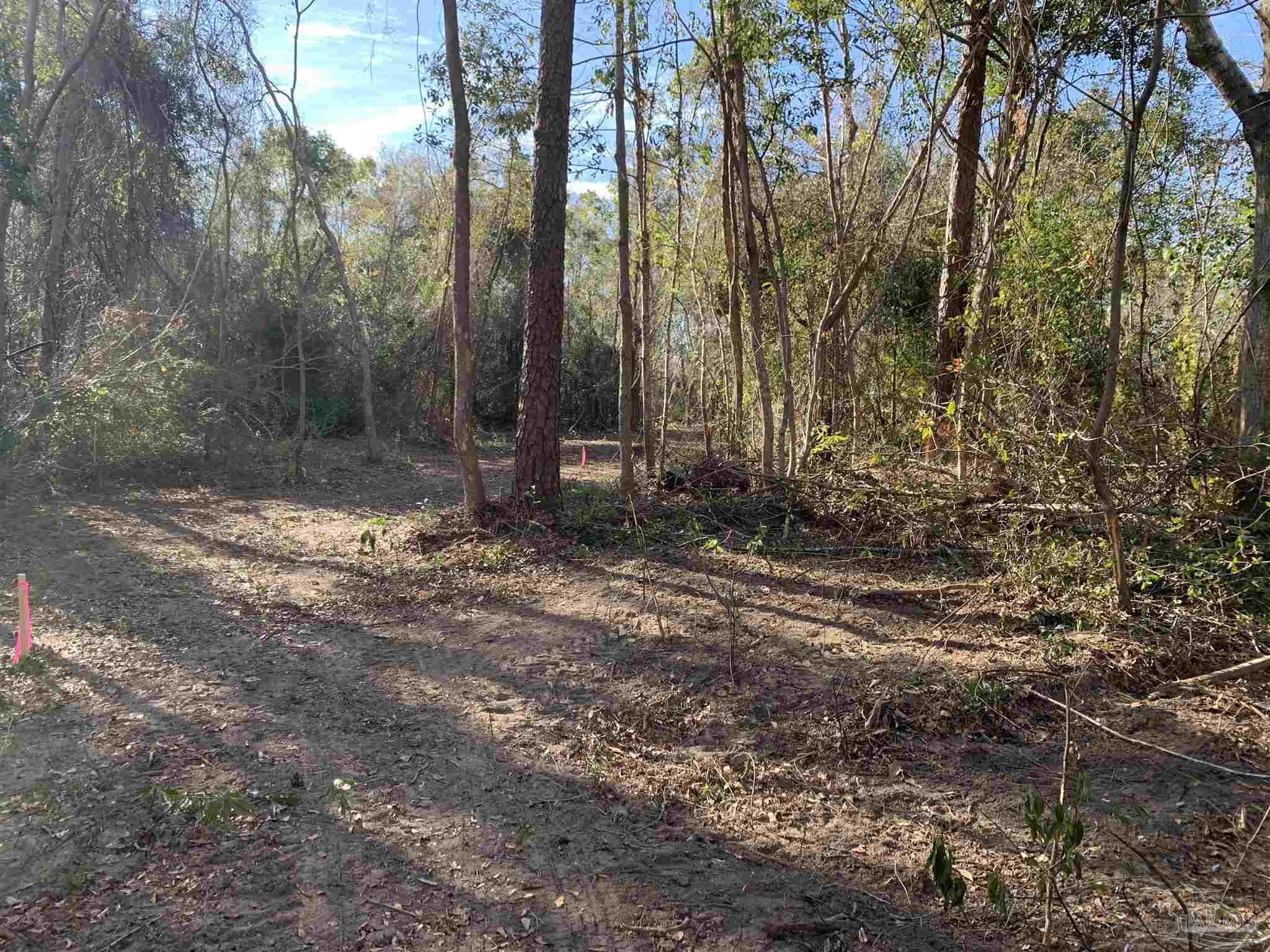 2793 Pine Forest Road Cantonment, FL 32533 - Photo 5 of 17 Gallery Image 5