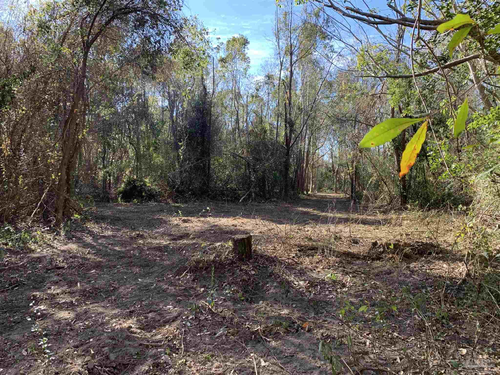 2793 Pine Forest Road Cantonment, FL 32533 - Photo 6 of 17 Gallery Image 6