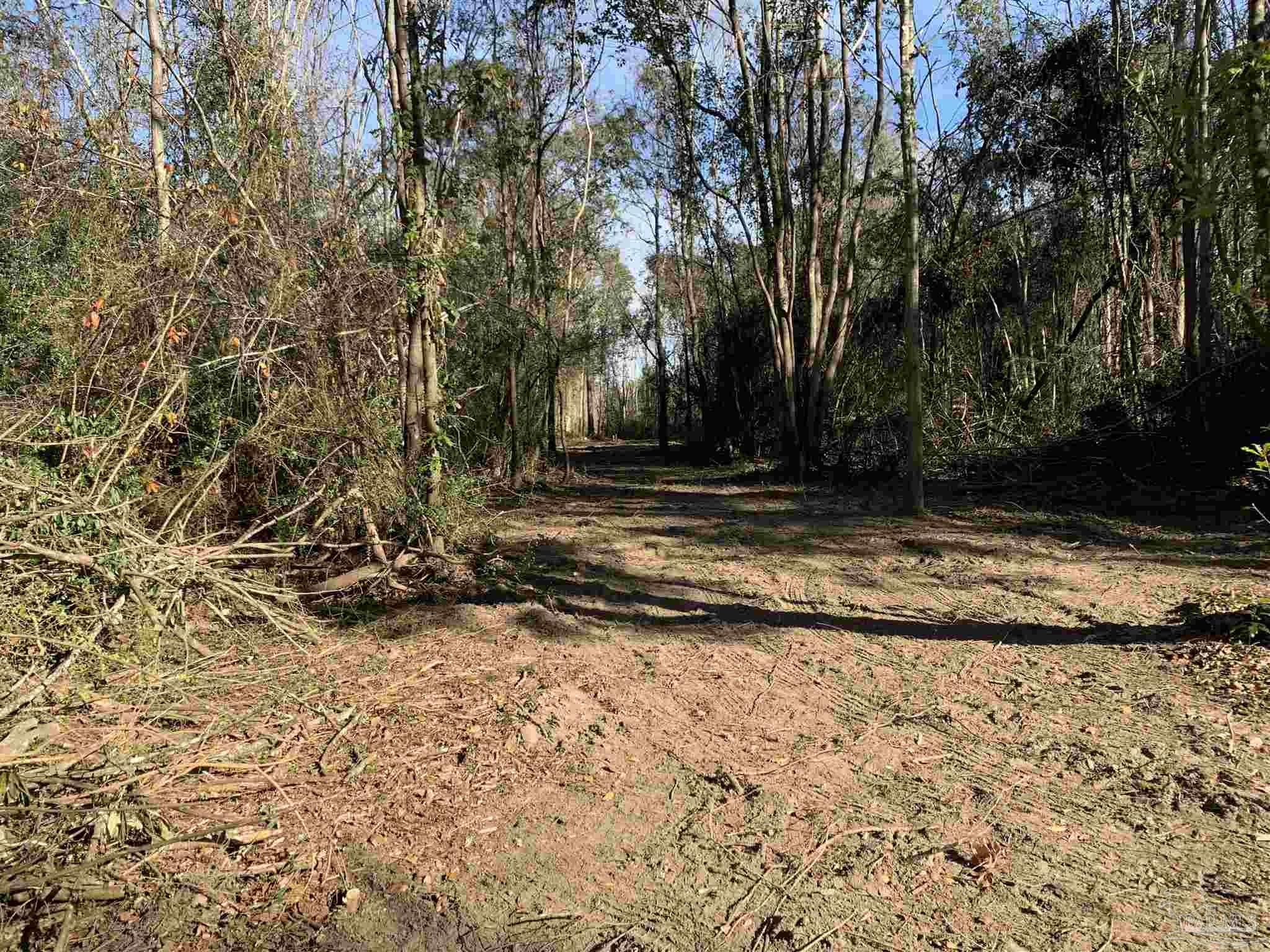 2793 Pine Forest Road Cantonment, FL 32533 - Photo 9 of 17 Gallery Image 9