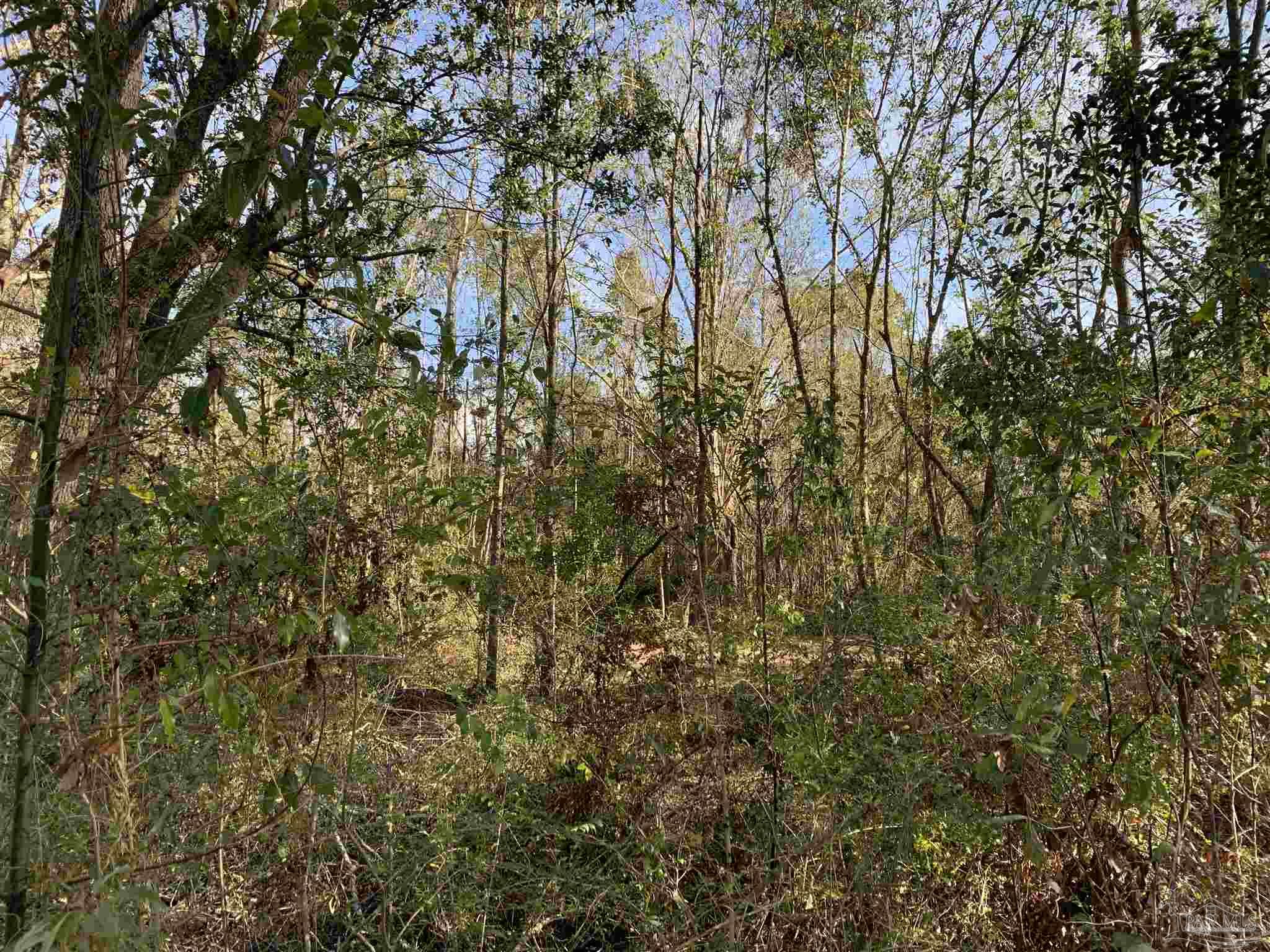 2793 Pine Forest Road Cantonment, FL 32533 - Photo 10 of 17 Gallery Image 10