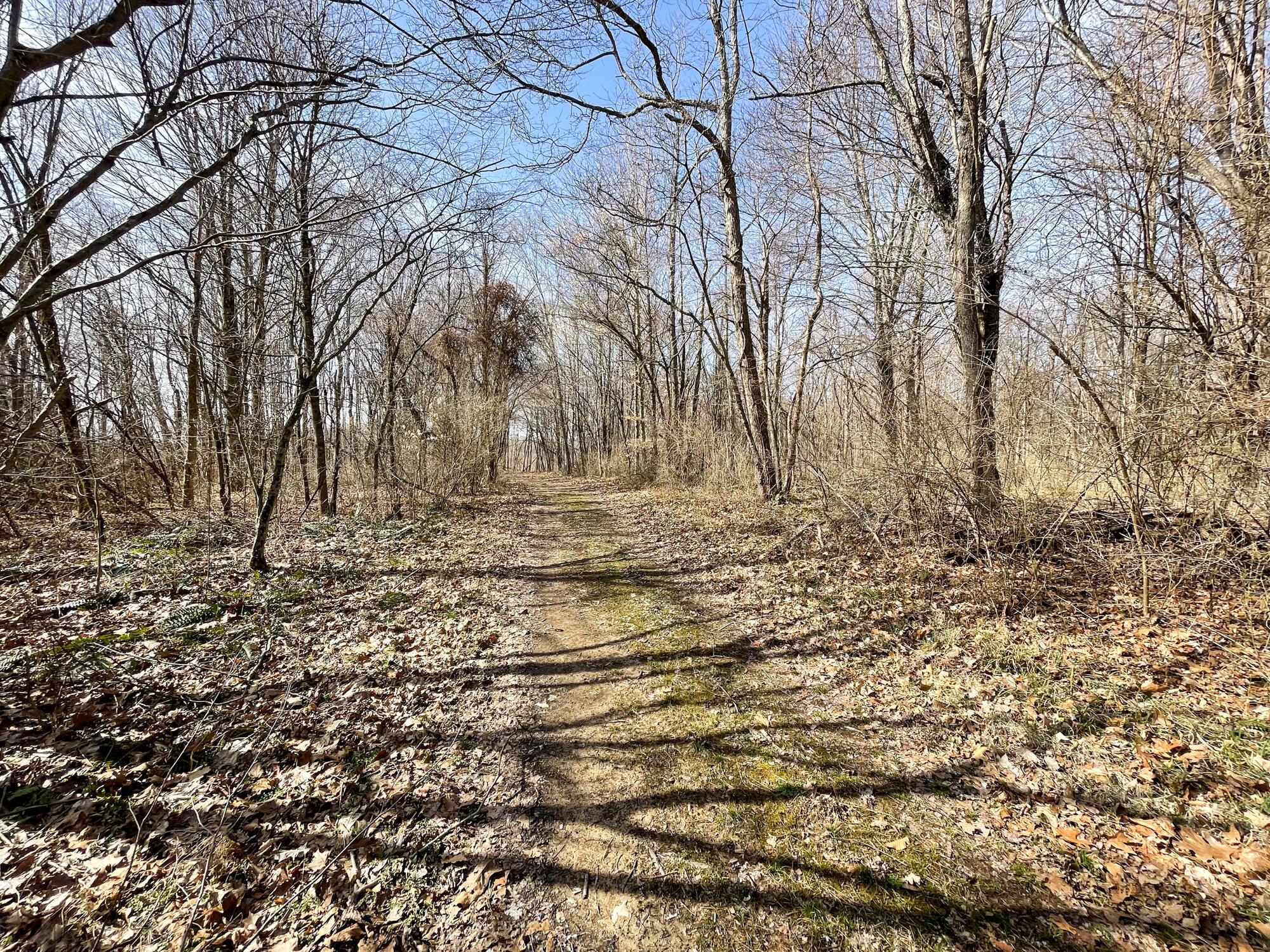 0 16th Road Southwest Stoutsville, OH 43154 - Photo 25 of 55 IMG_5830