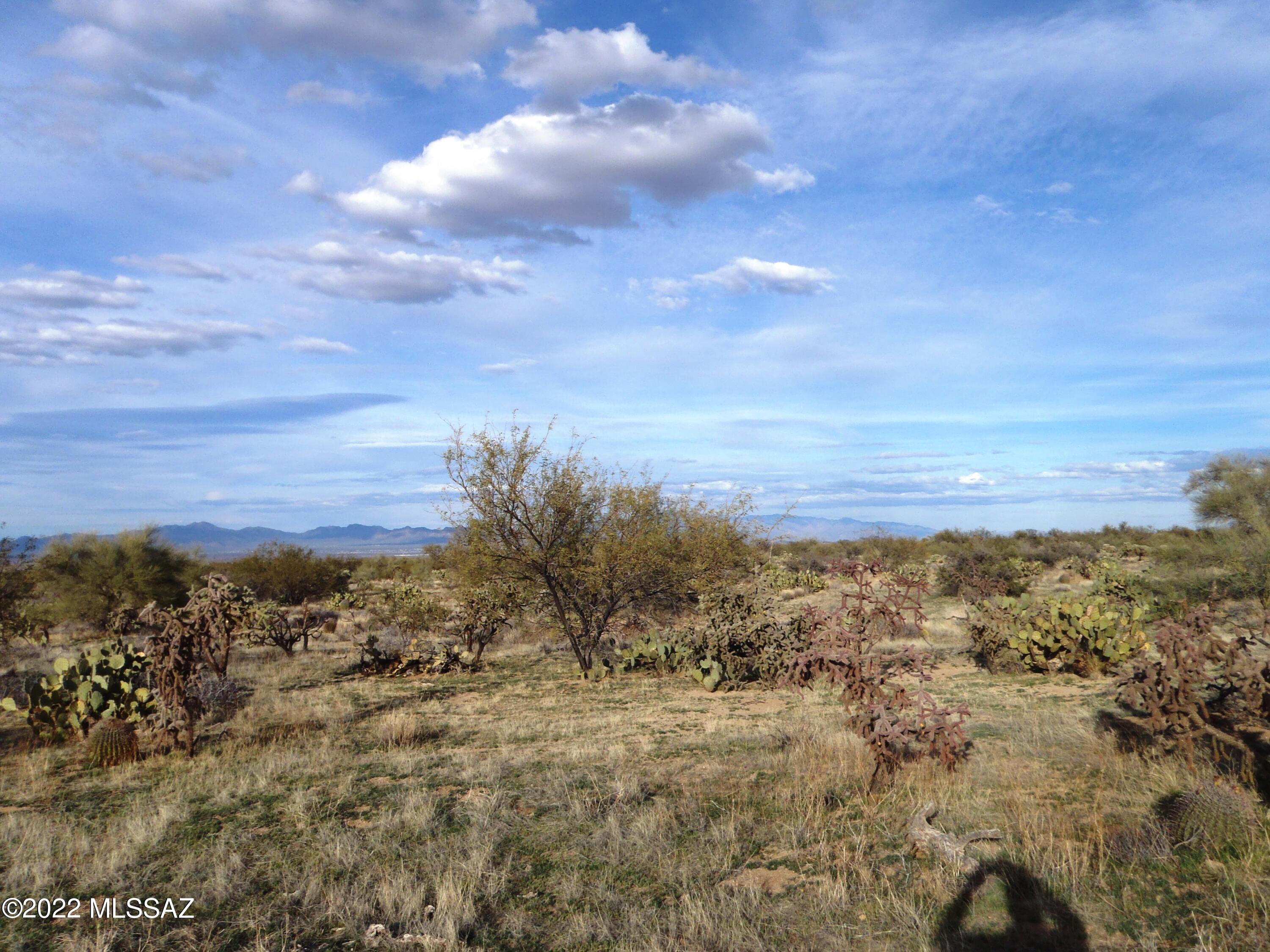 13010 Big Valley Road, Unit 45 Tucson, AZ 85736 - Photo 2 of 5