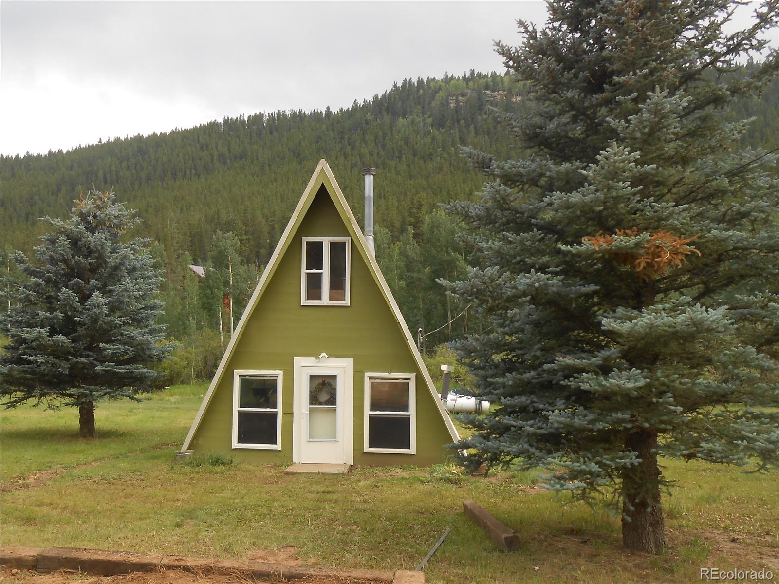 180 Bishop Road Bailey, CO 80421 - Photo 1 of 22