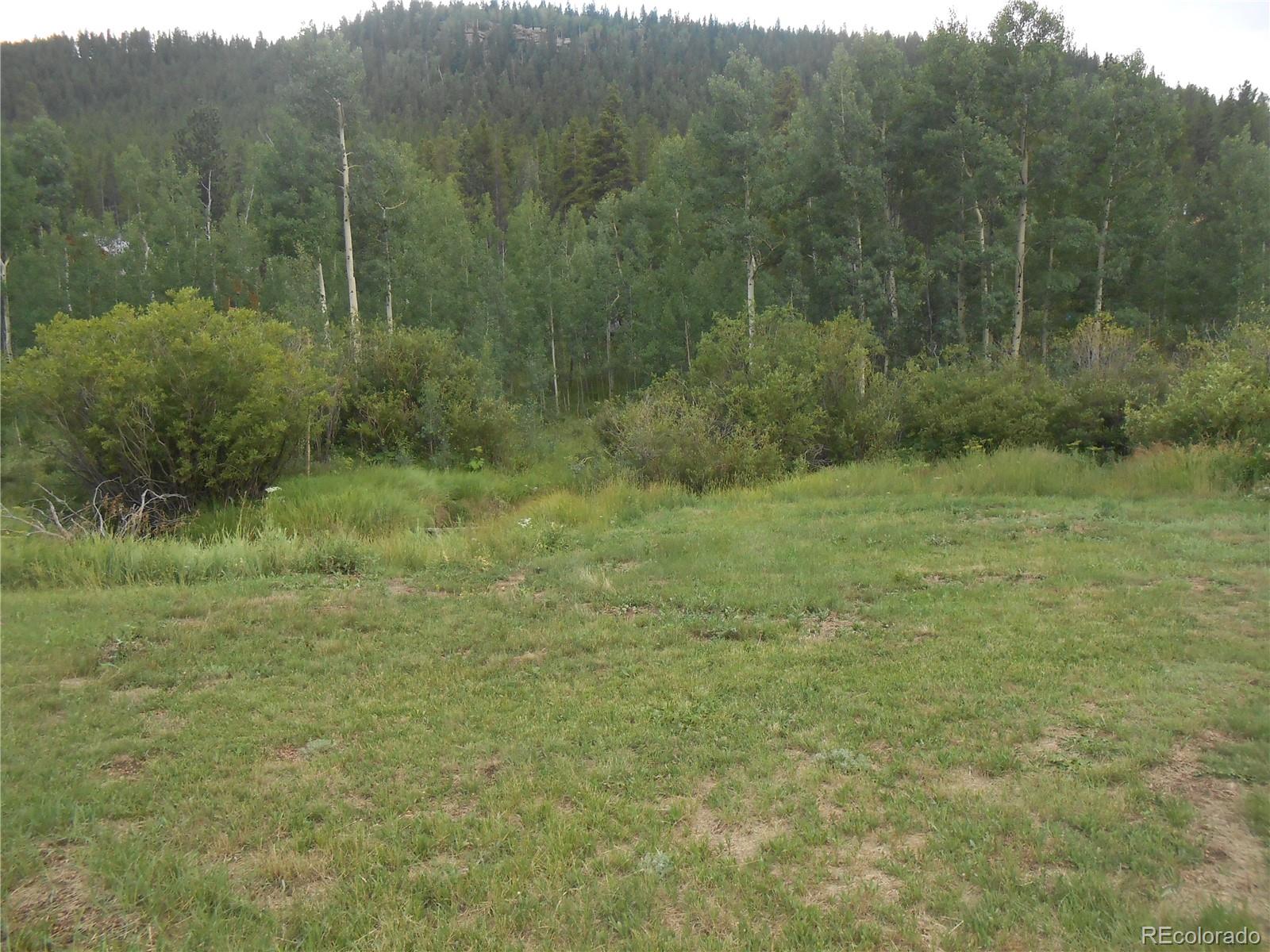 180 Bishop Road Bailey, CO 80421 - Photo 20 of 22
