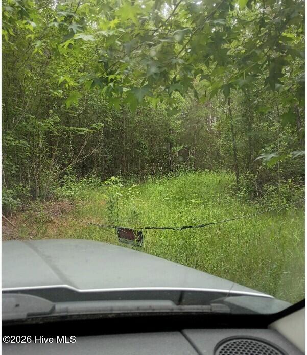 0 Maules Point Road Blounts Creek, NC 27814 - Photo 3 of 7 006