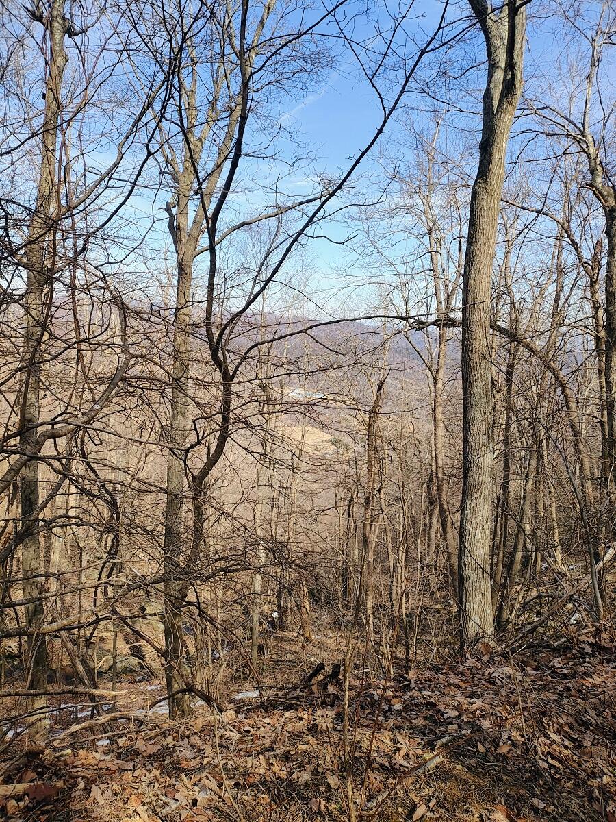 0 Bent Mountain Road Bent Mountain, VA 24059 - Photo 4 of 21 IMG_20250226_121828290_AE