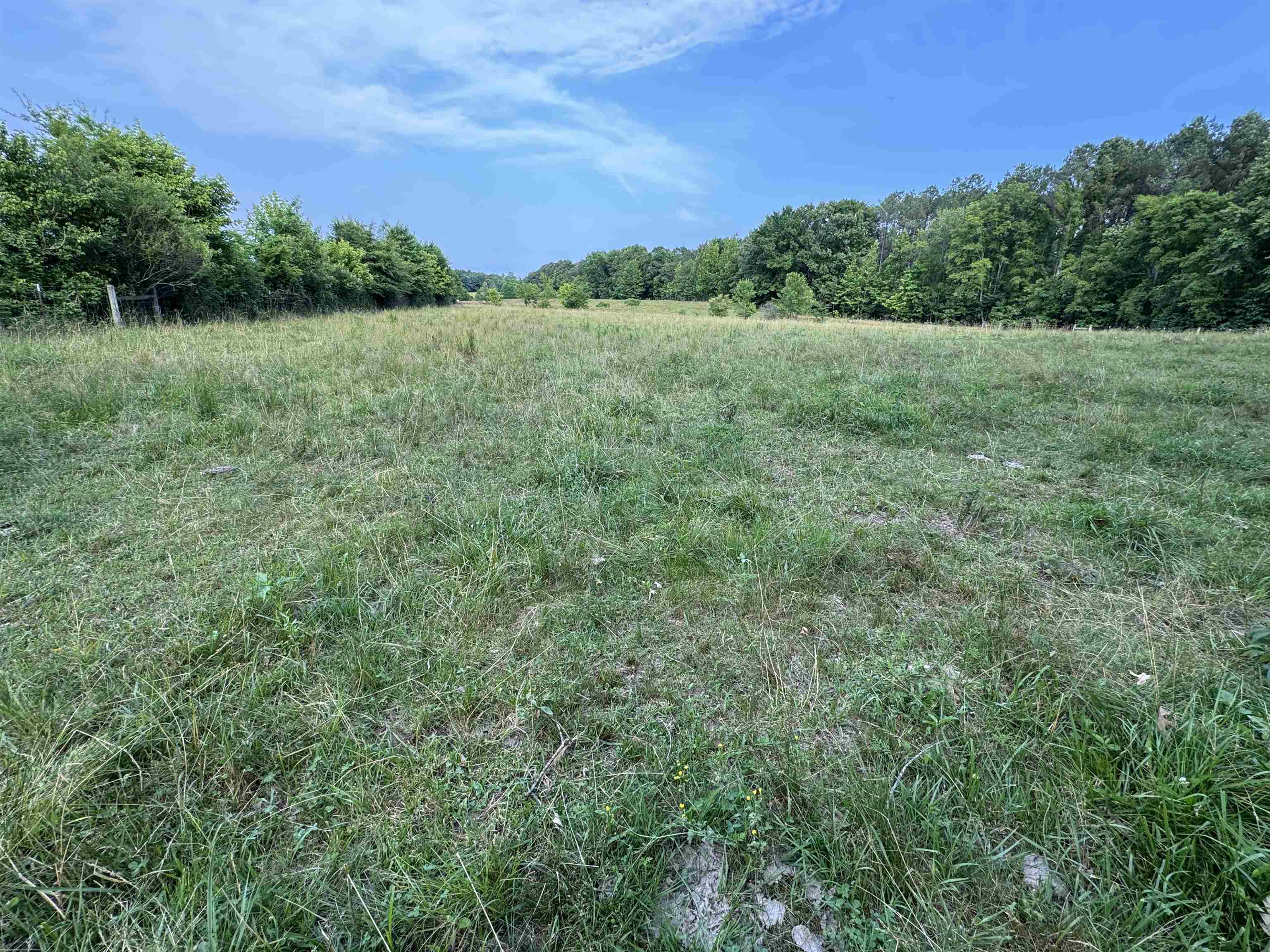 994 North Prather Road Michie, TN 38357 - Photo 1 of 22 View of local wilderness with a rural view