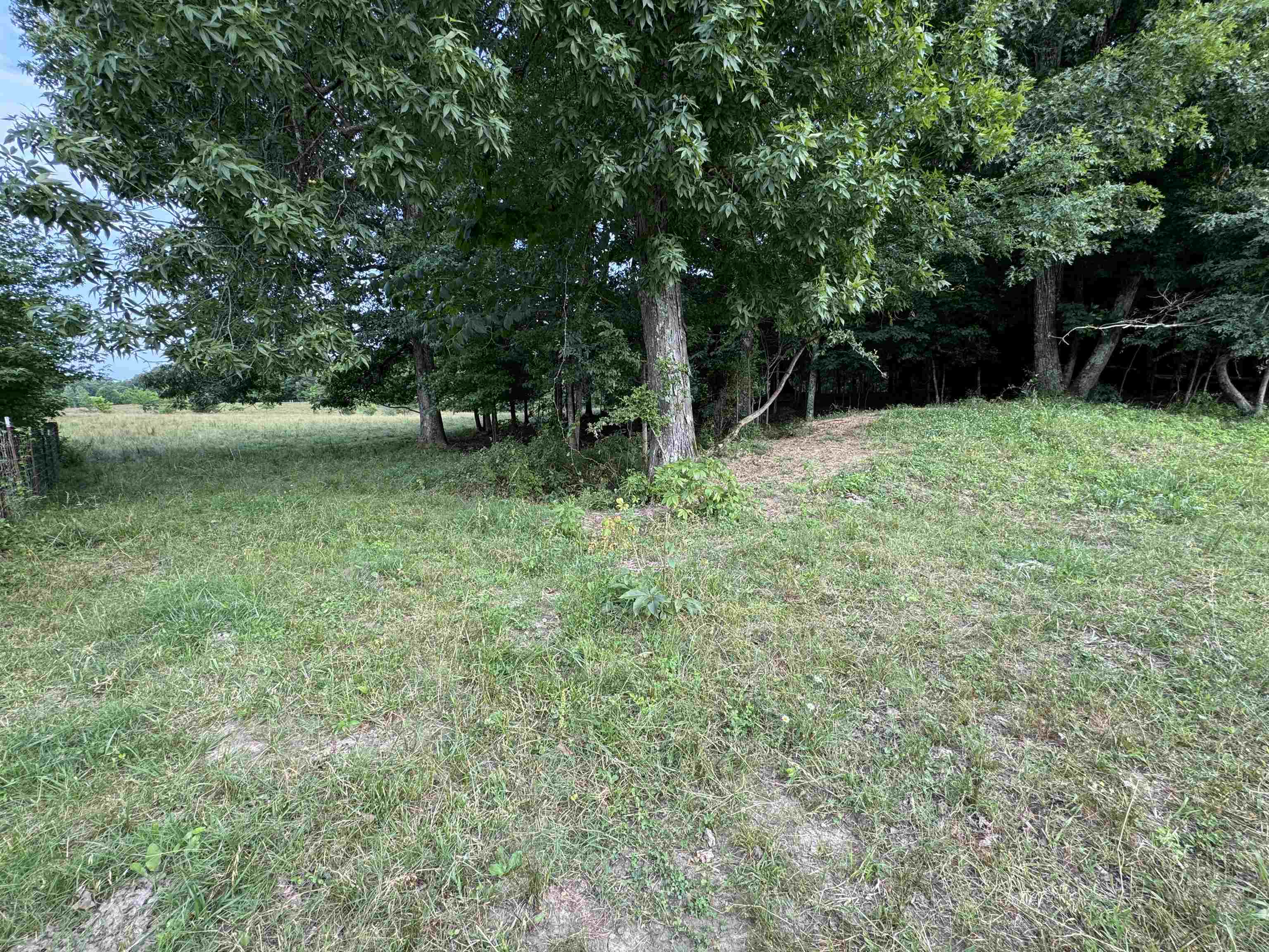 994 North Prather Road Michie, TN 38357 - Photo 11 of 22 Gallery Image 11
