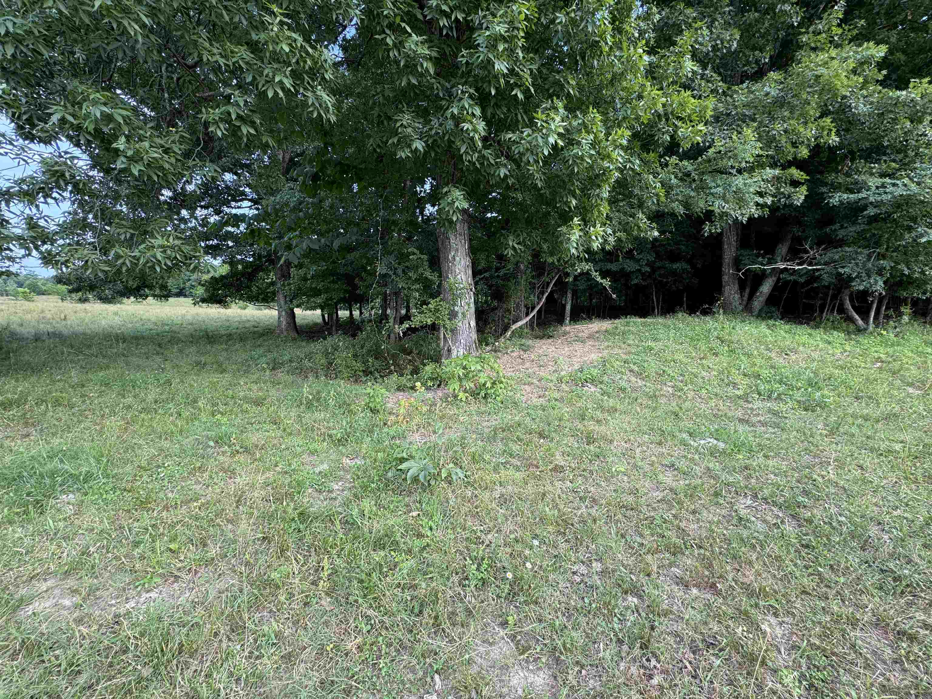 994 North Prather Road Michie, TN 38357 - Photo 12 of 22 Gallery Image 12