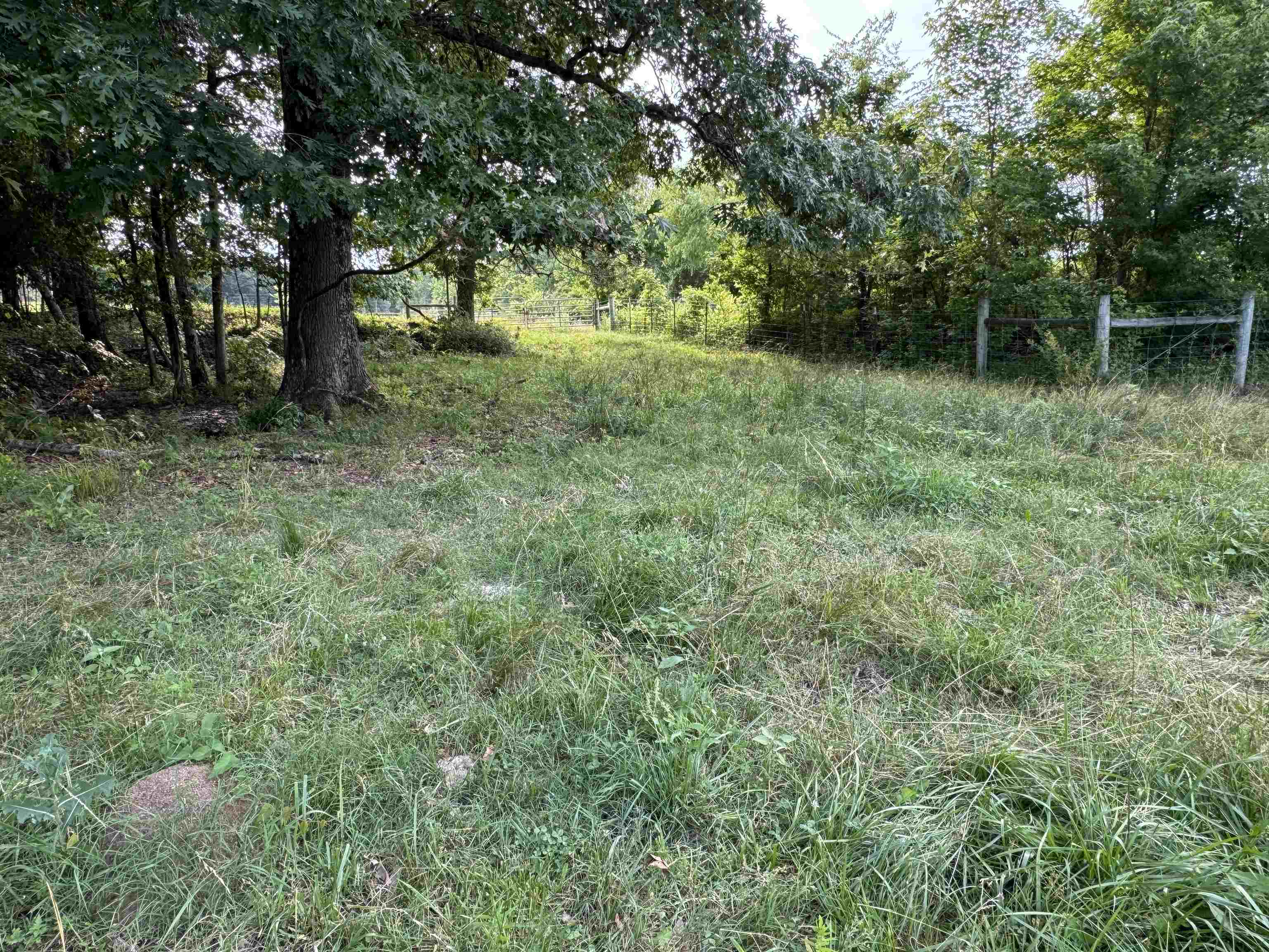 994 North Prather Road Michie, TN 38357 - Photo 13 of 22 Gallery Image 13