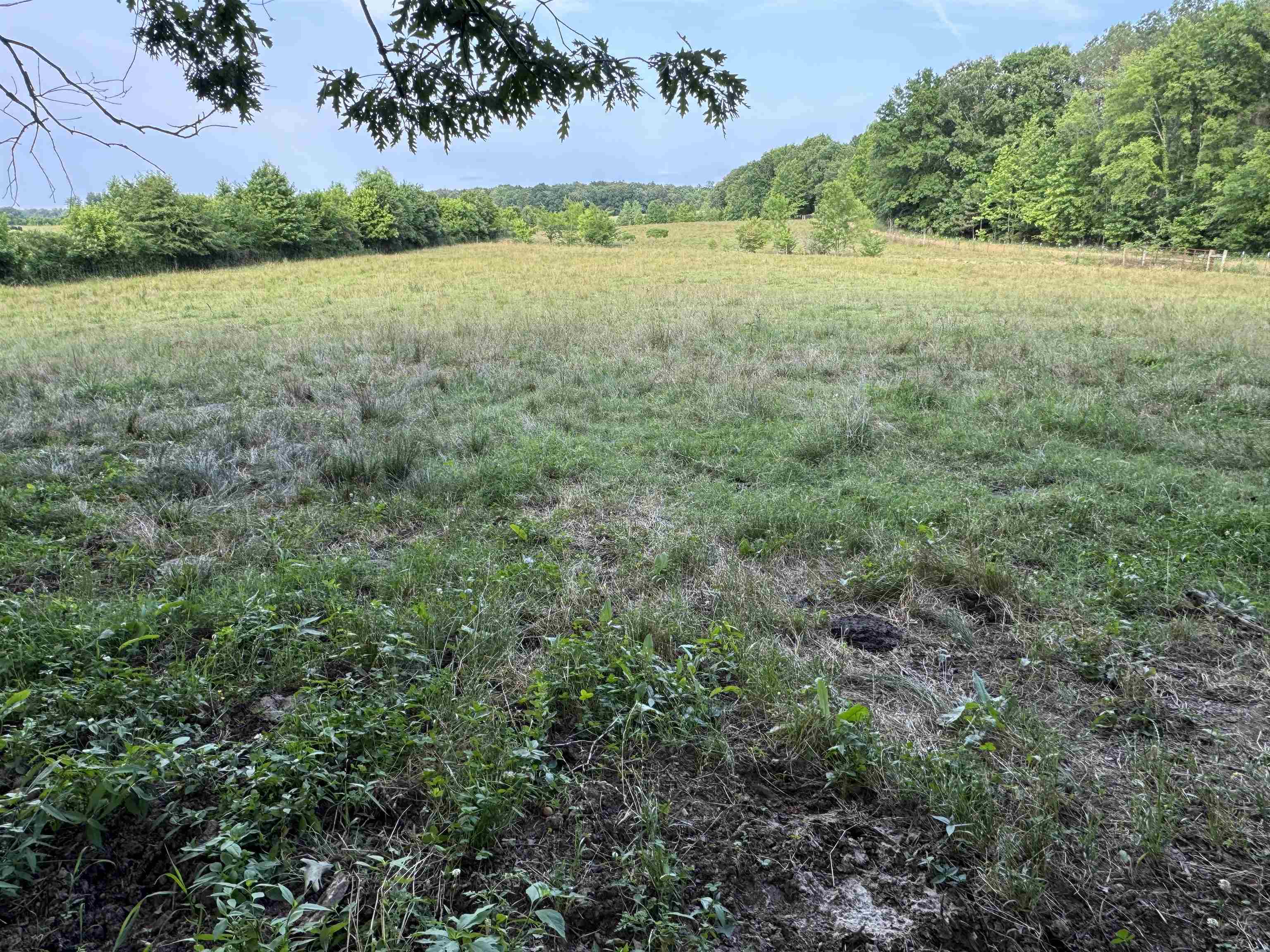 994 North Prather Road Michie, TN 38357 - Photo 14 of 22 Gallery Image 14