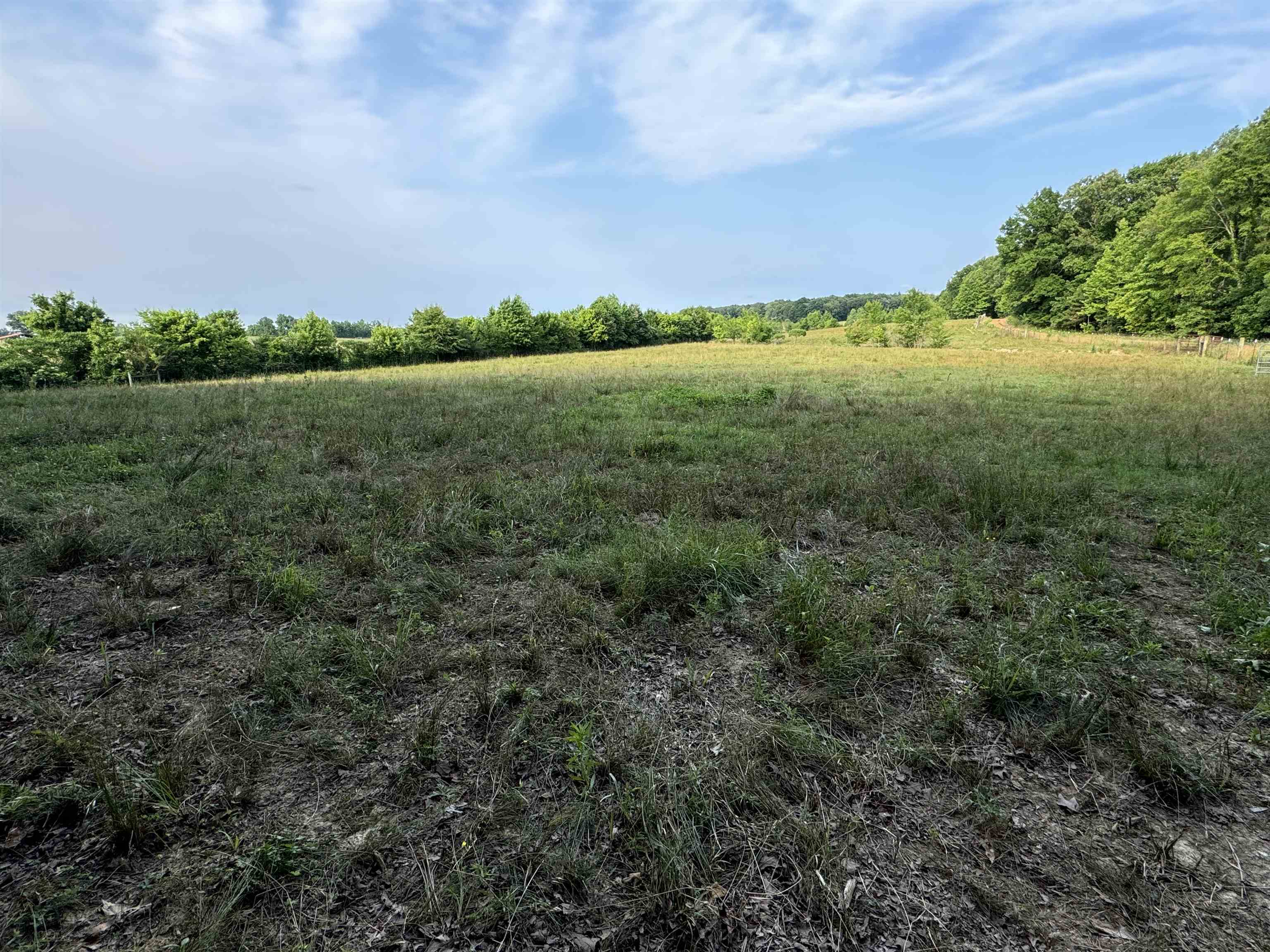 994 North Prather Road Michie, TN 38357 - Photo 16 of 22 Gallery Image 16