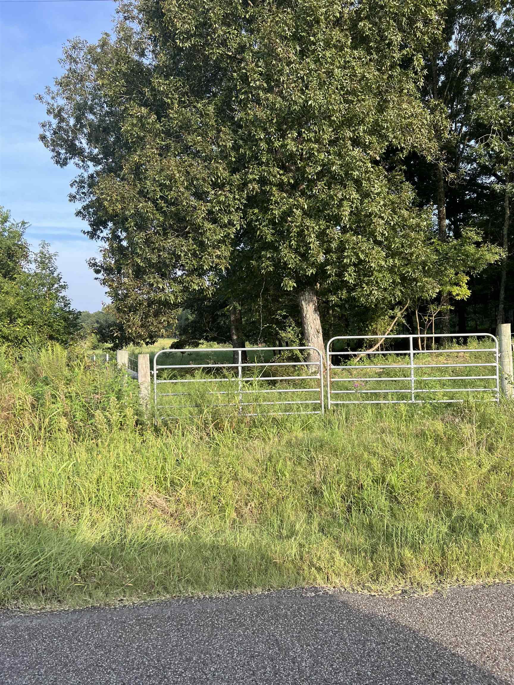 994 North Prather Road Michie, TN 38357 - Photo 17 of 22 Gallery Image 17