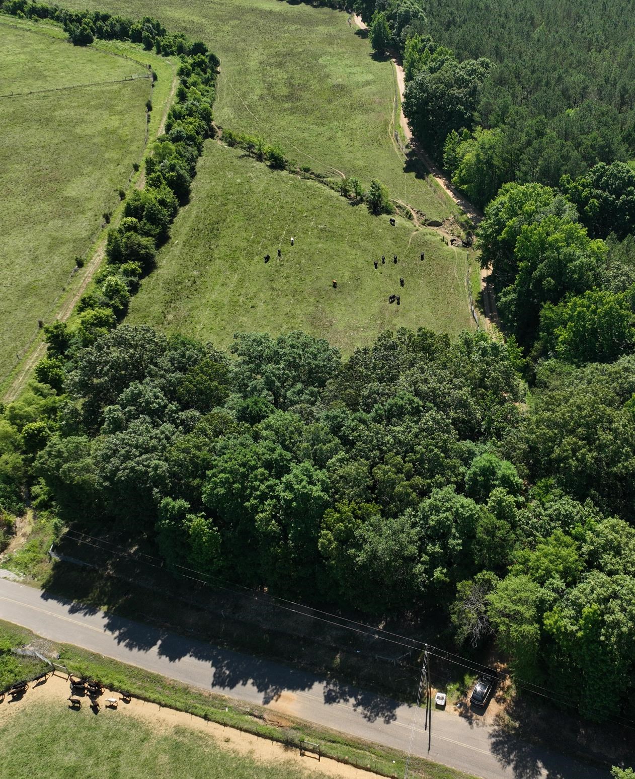 994 North Prather Road Michie, TN 38357 - Photo 19 of 22 Aerial view with a rural view