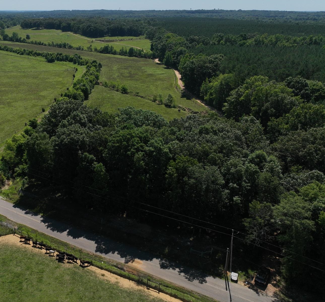994 North Prather Road Michie, TN 38357 - Photo 20 of 22 Drone / aerial view featuring a rural view