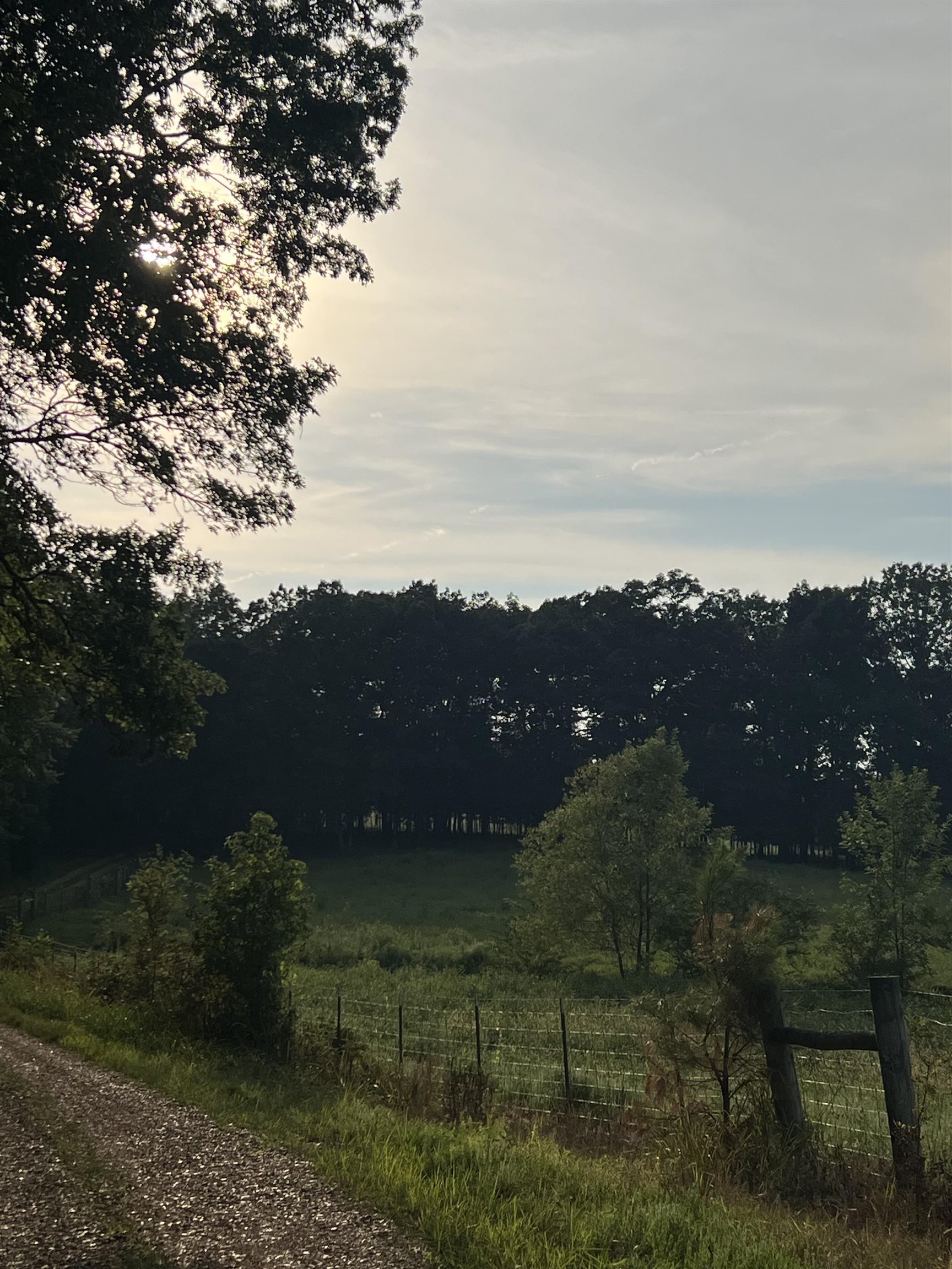 994 North Prather Road Michie, TN 38357 - Photo 3 of 22 Gallery Image 3