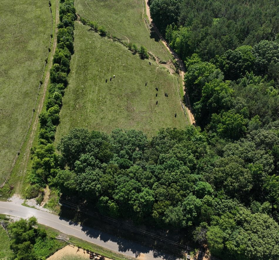 994 North Prather Road Michie, TN 38357 - Photo 4 of 22 View of birds eye view of property