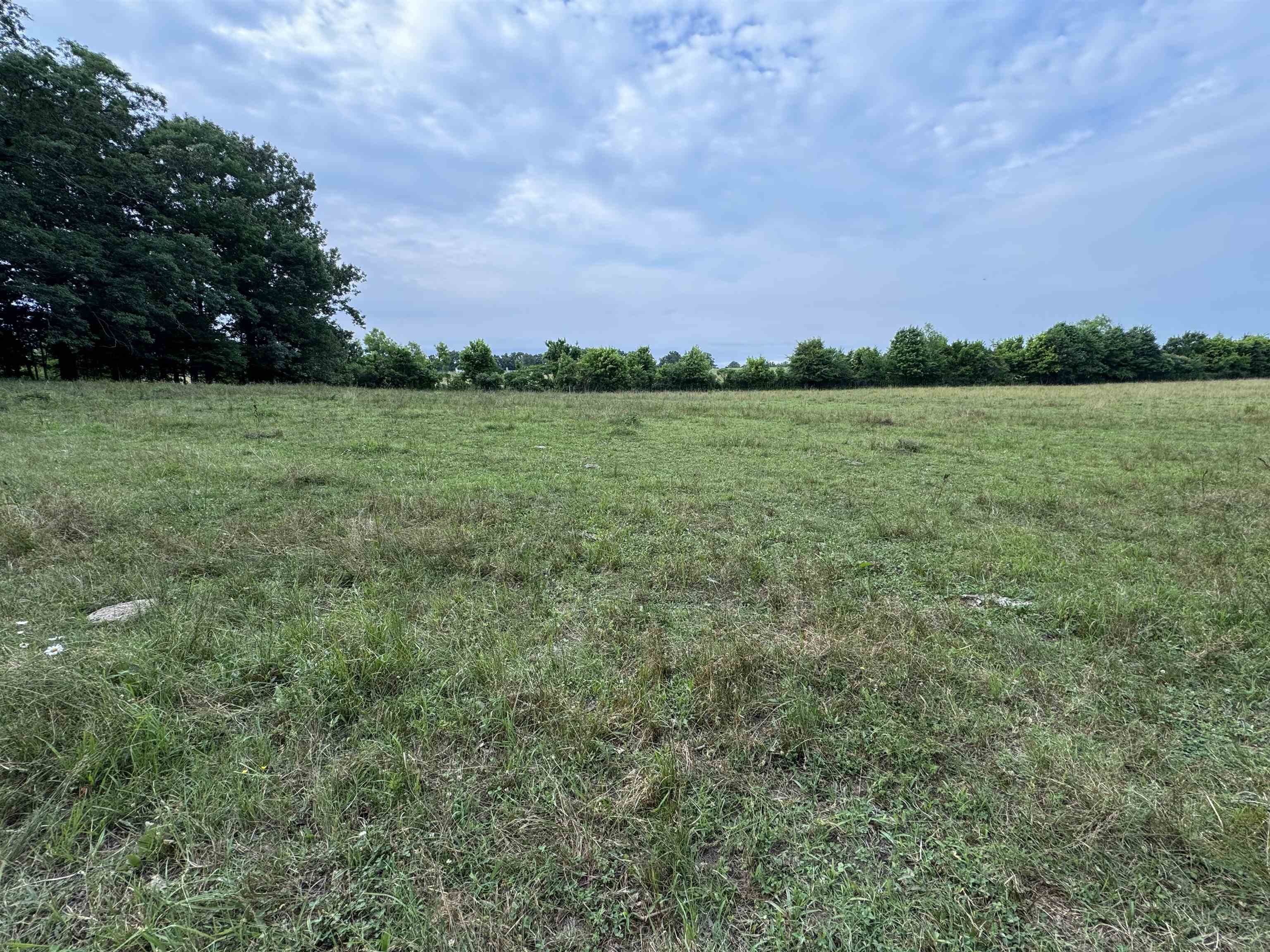 994 North Prather Road Michie, TN 38357 - Photo 8 of 22 Gallery Image 8
