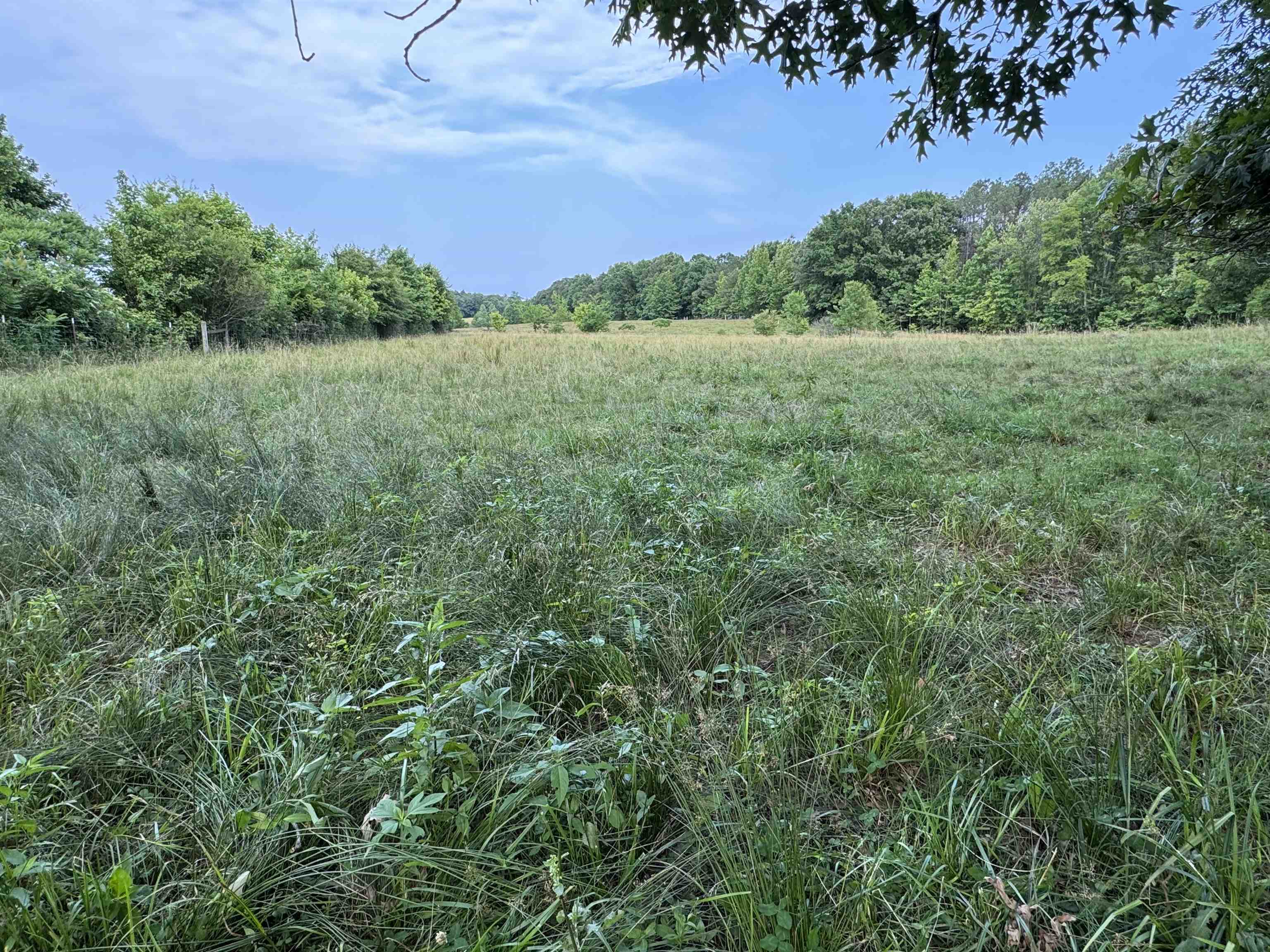 994 North Prather Road Michie, TN 38357 - Photo 9 of 22 Gallery Image 9