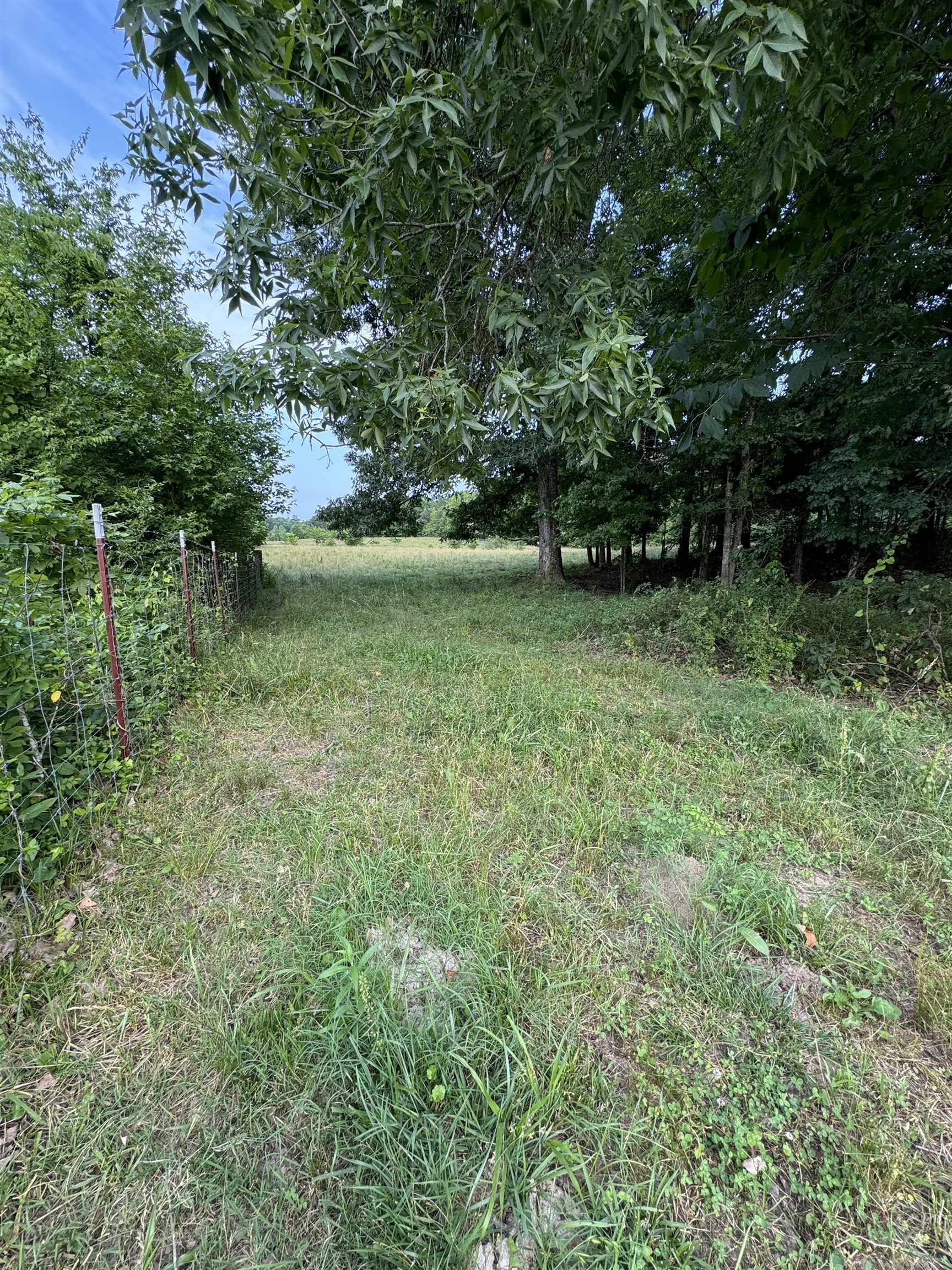 994 North Prather Road Michie, TN 38357 - Photo 10 of 22 Gallery Image 10
