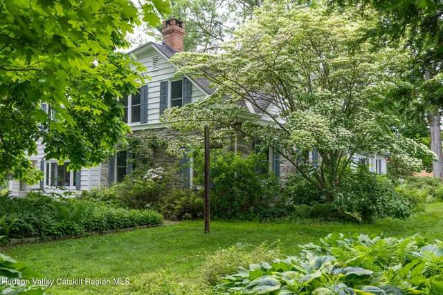 a view of a lush green forest