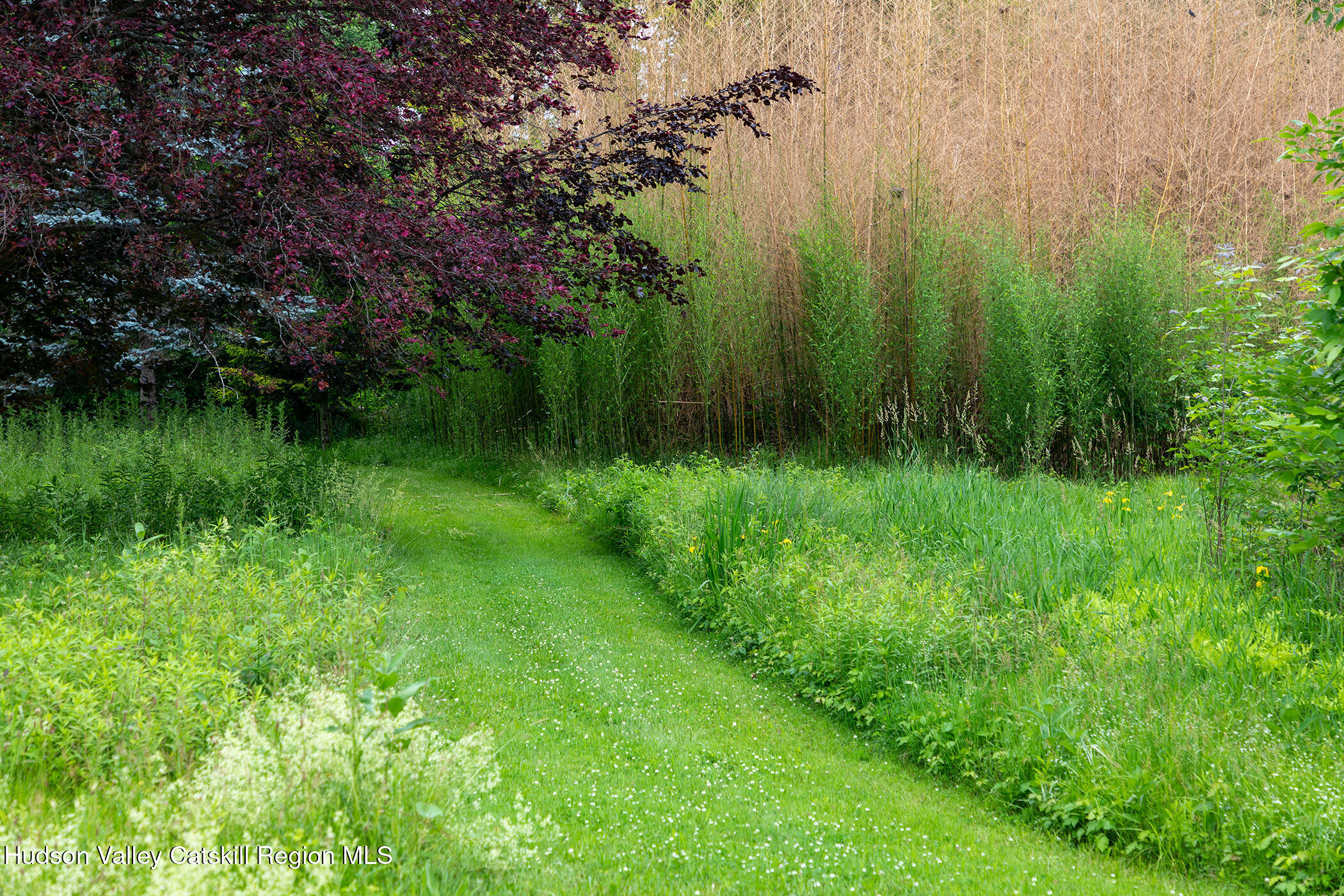 202 Buckwheat Bridge Road Germantown, NY 12526 - Photo 41 of 47 a view of a garden