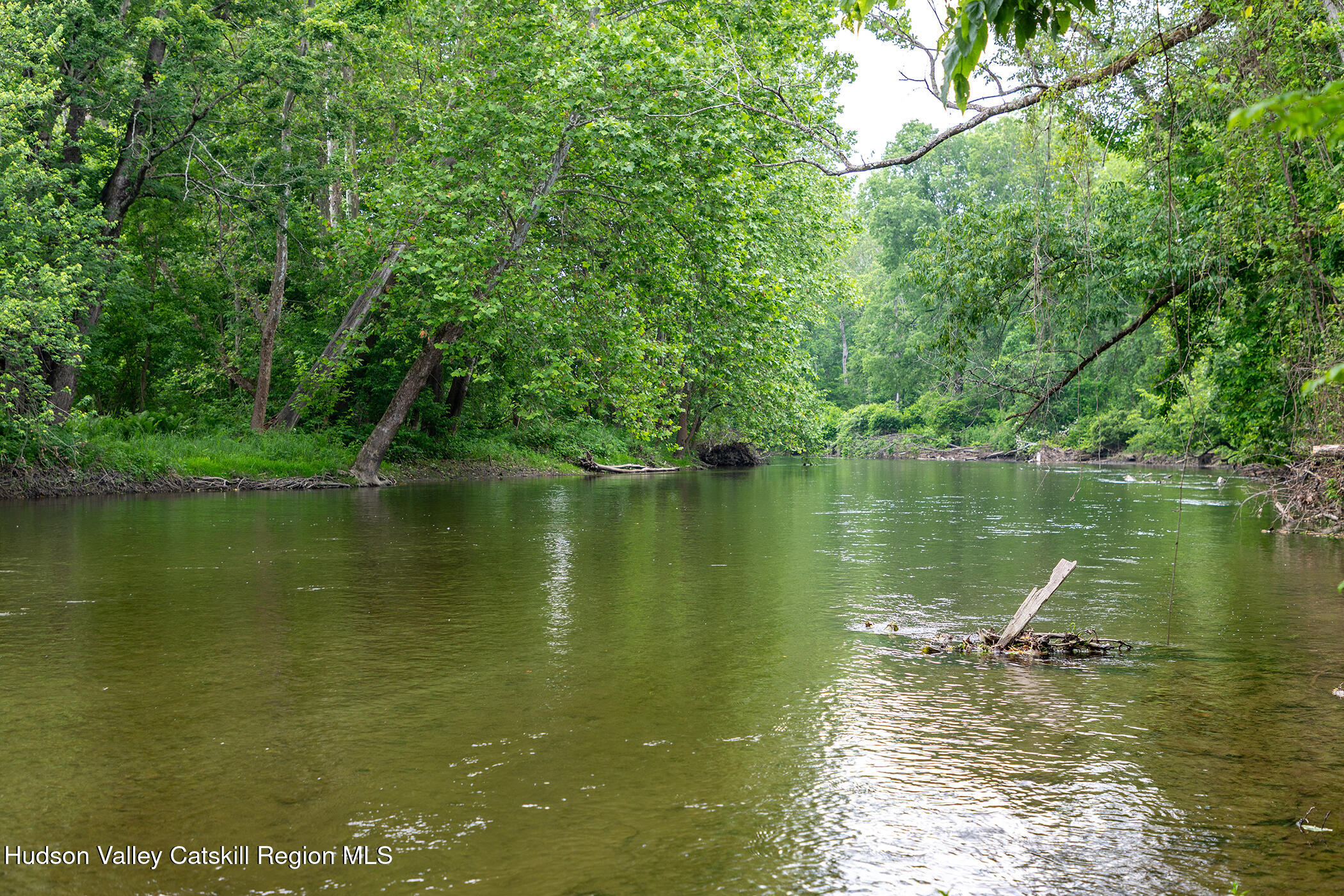 202 Buckwheat Bridge Road Germantown, NY 12526 - Photo 45 of 47 a large body of water with a tree in the background