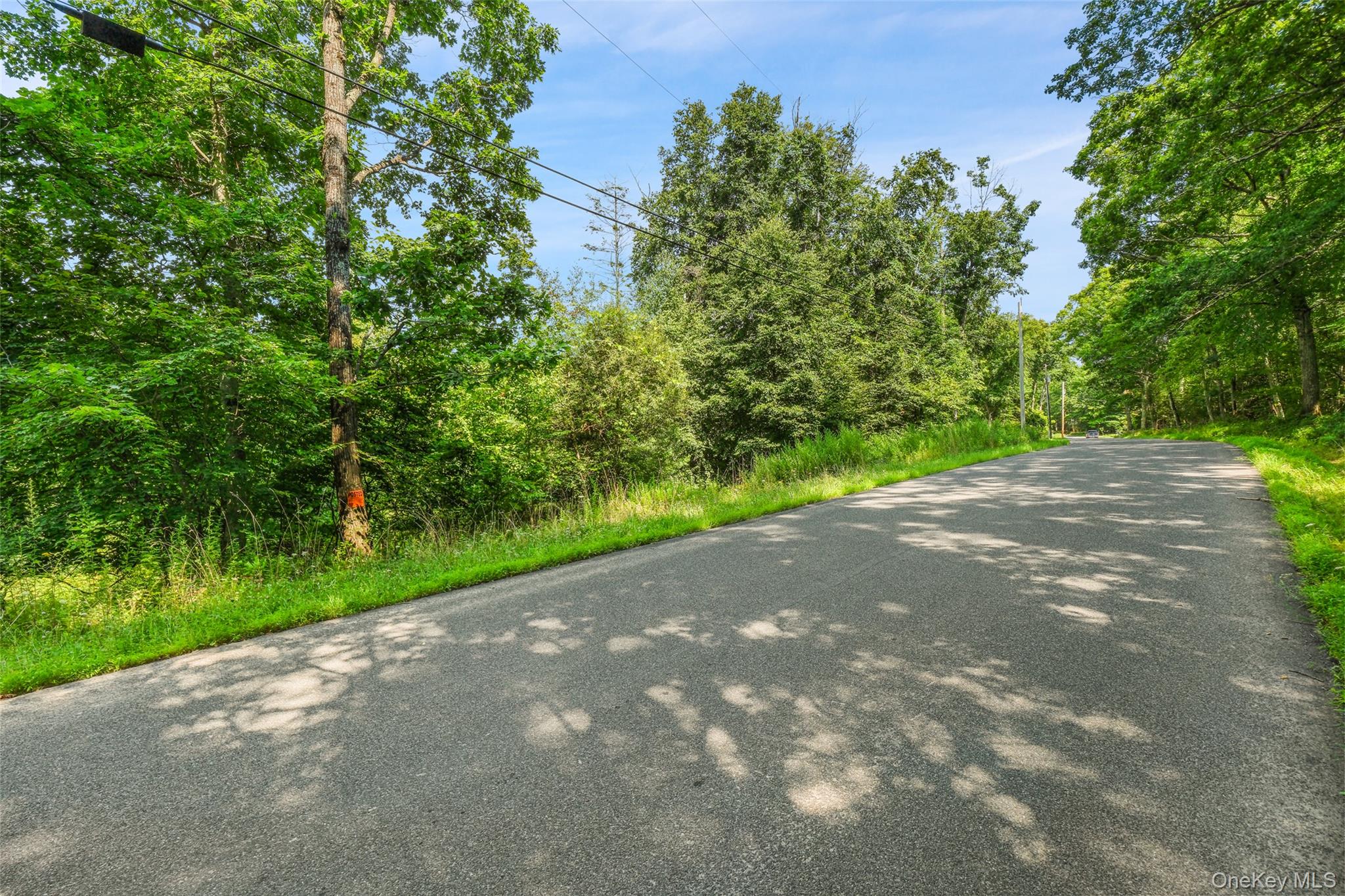 Oak Ridge Road Ellenville, NY 12428 - Photo 17 of 23 Street View