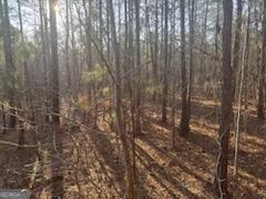 948 Smyrna Church Road Molena, GA 30258 - Photo 7 of 35