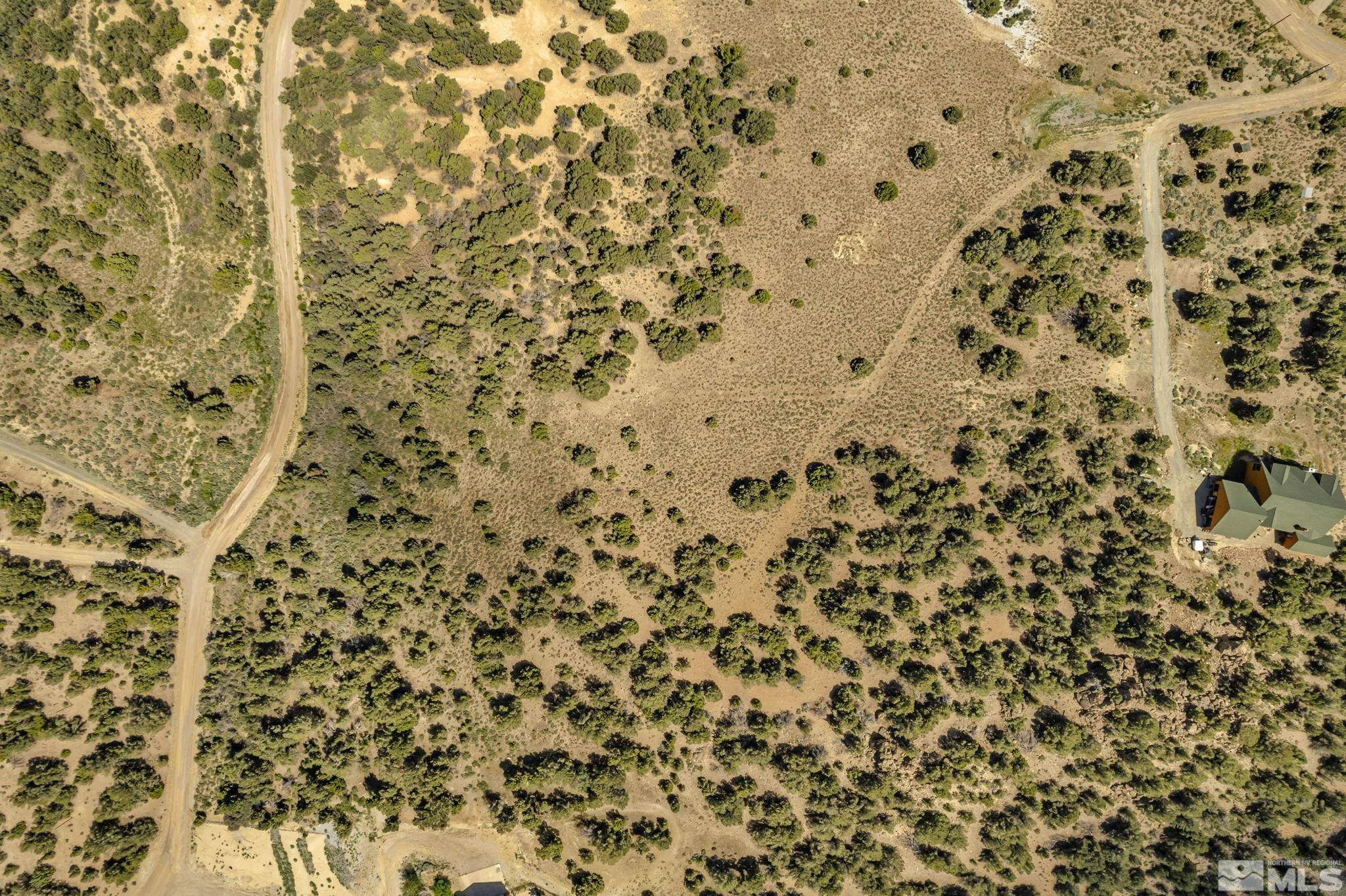 21499 Crestview Road Reno, NV 89521 - Photo 6 of 8 view of a shower curtain