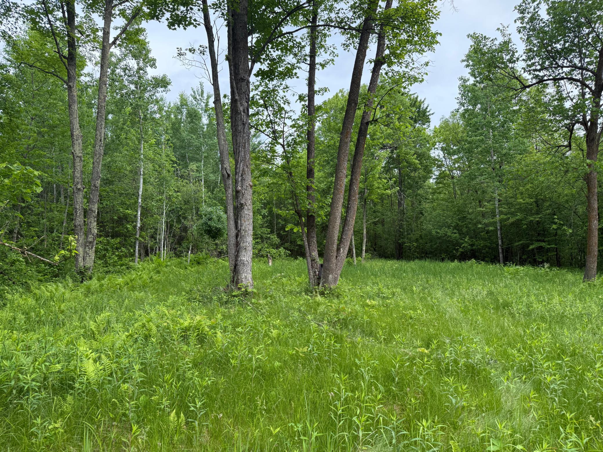 10551 Mallard Road Brook Park, MN 55007 - Photo 12 of 44