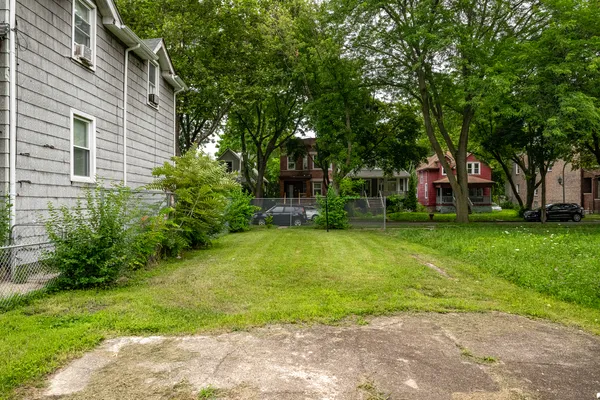 a view of a yard with plants and large trees