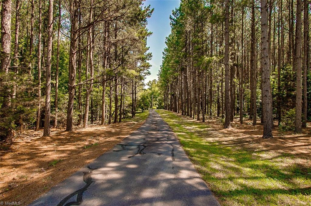 4723 Moffitt Mill Road Ramseur, NC 27316 - Photo 28 of 30 Gallery Image 28