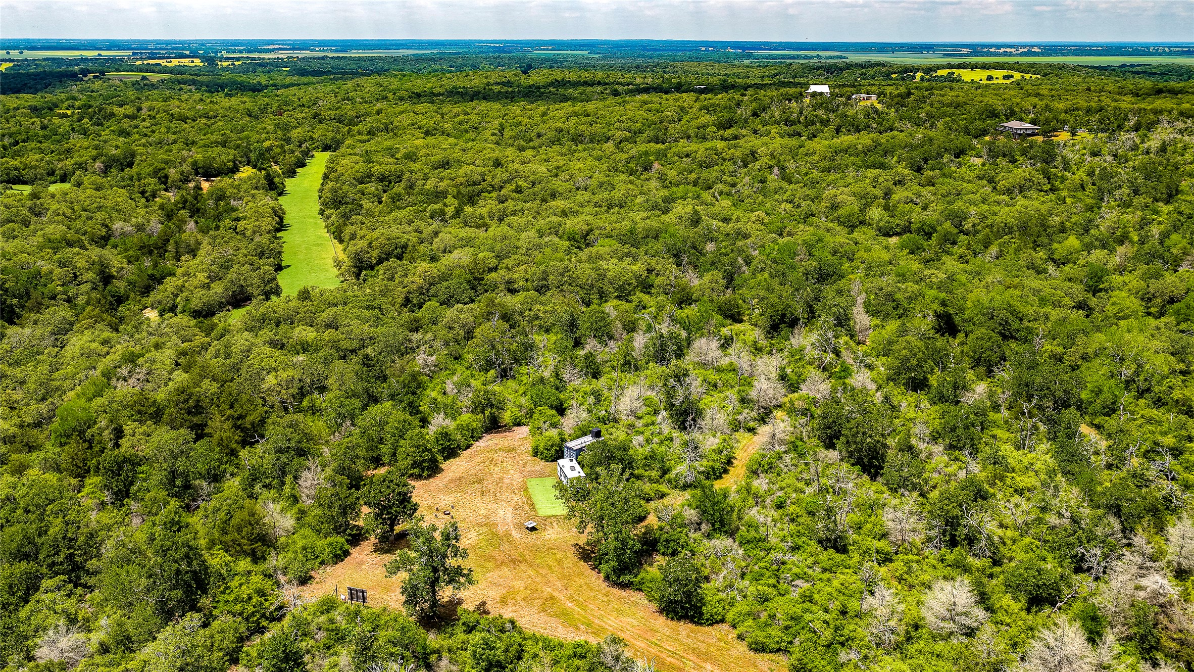 1470 22 Hills Road Gause, TX 77857 - Photo 7 of 35 Discover a private, verdant sanctuary with a clearings for homes amidst dense tree coverage.