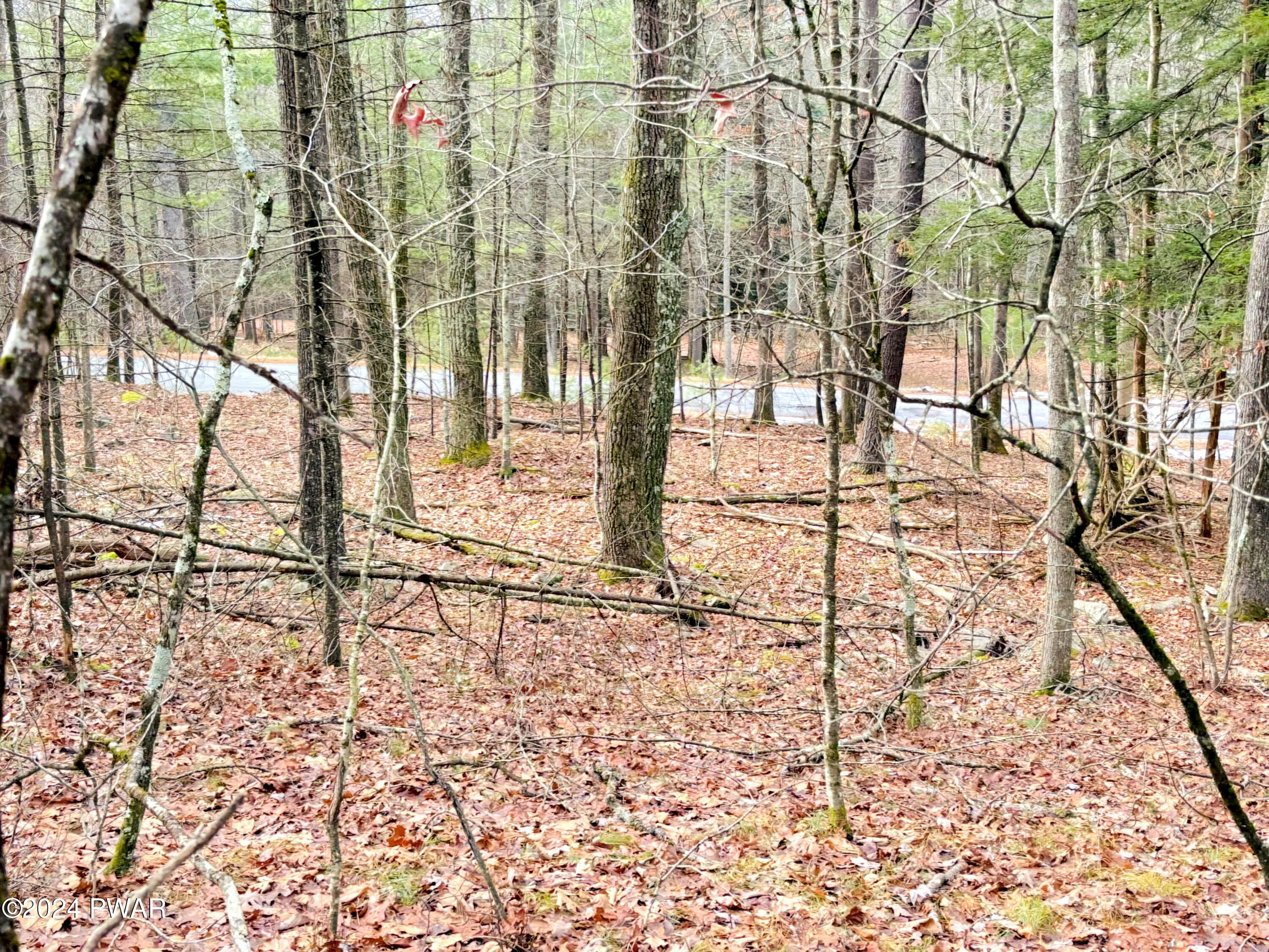420 Creek Road Hawley, PA 18428 - Photo 4 of 19