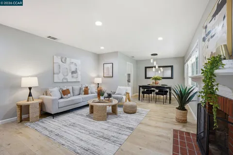 a living room with furniture and a potted plant