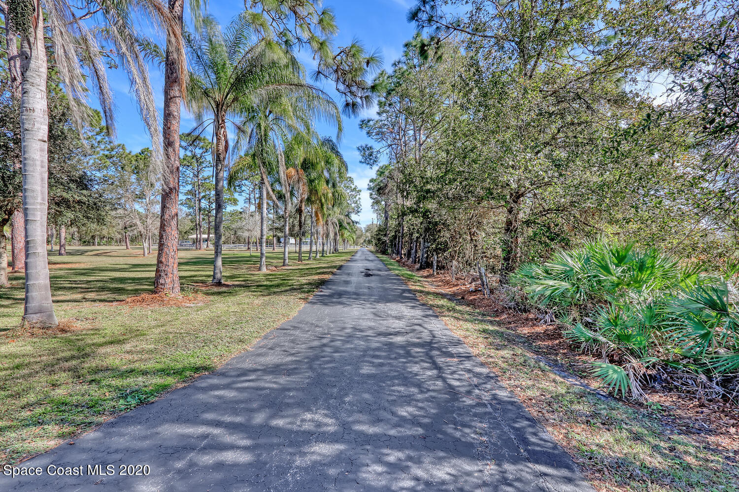 4370 Albritton Road St. Cloud, FL 34772 - Photo 4 of 82 driveway
