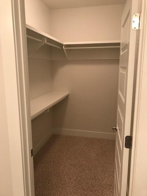 342 Grande Pointe Circle, Unit LOT 100 Inlet Beach, FL 32461 - Photo 28 of 48 Mater BR Closet