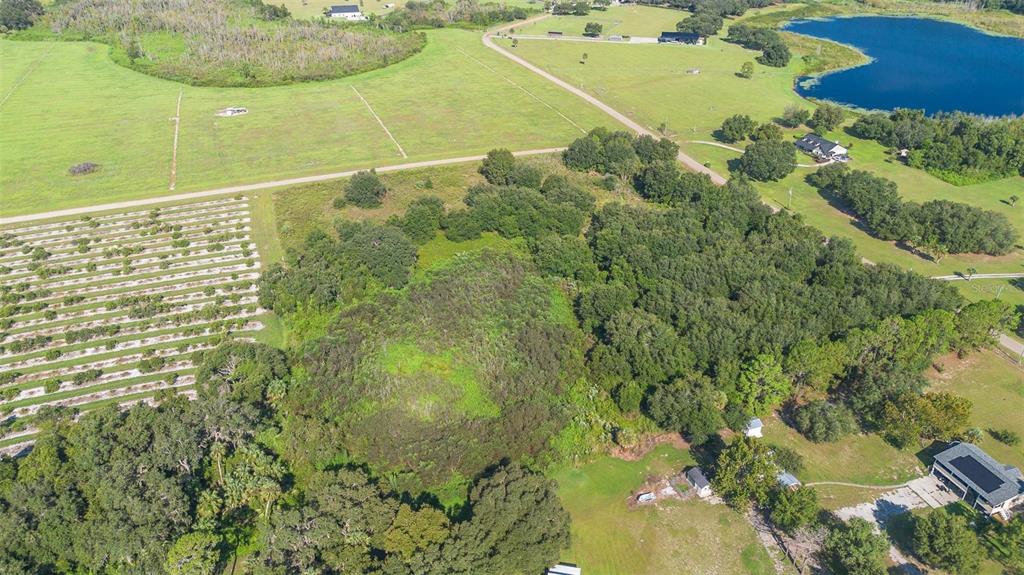 Yale Hammock Road Umatilla, FL 32784 - Photo 12 of 28 a view of a swimming pool and outdoor space