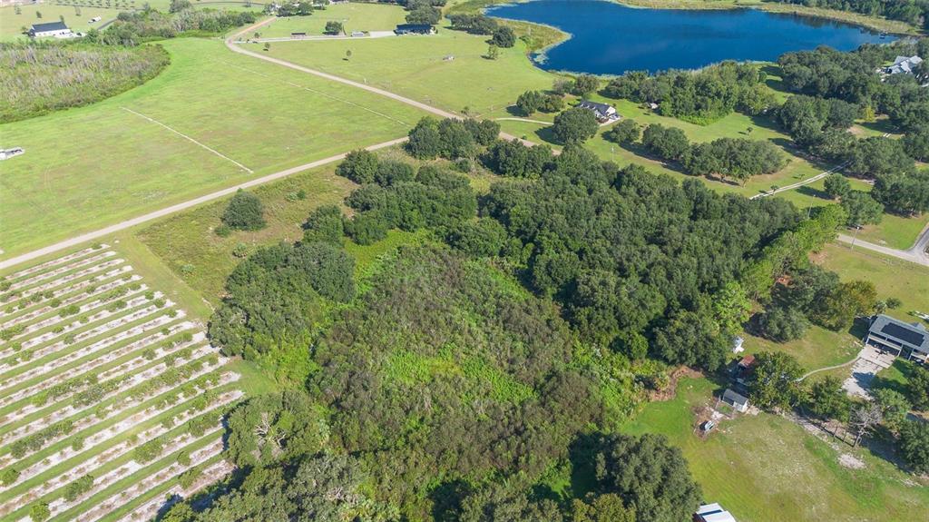 Yale Hammock Road Umatilla, FL 32784 - Photo 13 of 28