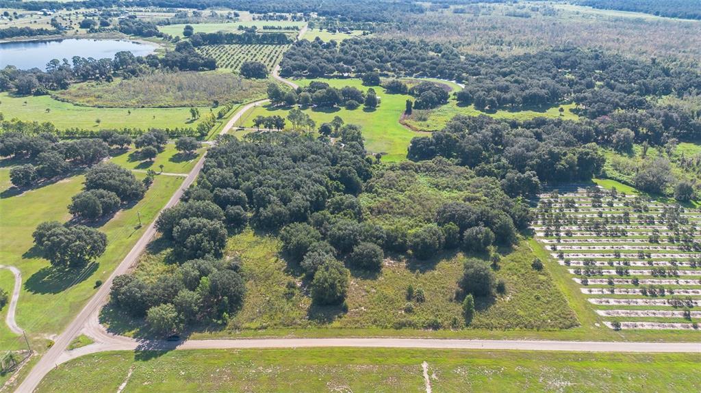 Yale Hammock Road Umatilla, FL 32784 - Photo 17 of 28 a view of swimming pool from a yard