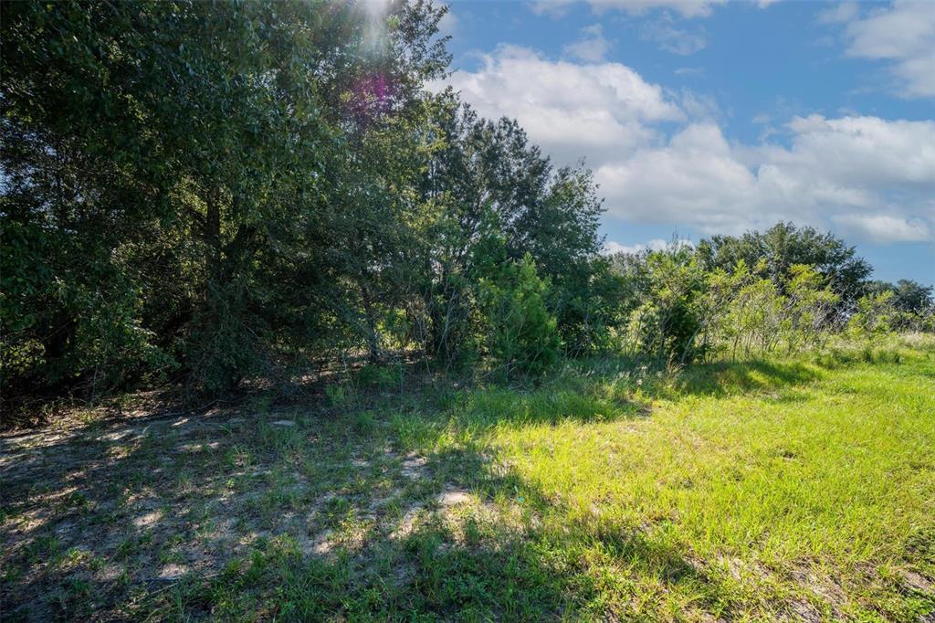 Yale Hammock Road Umatilla, FL 32784 - Photo 18 of 18 a backyard of a house with lots of green space