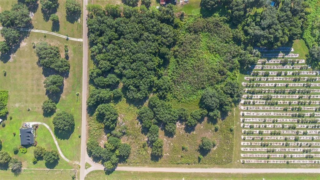 Yale Hammock Road Umatilla, FL 32784 - Photo 21 of 28 a view of a brick house with a yard