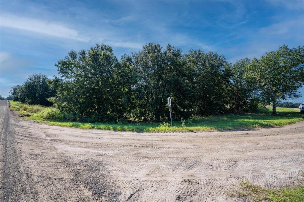 Yale Hammock Road Umatilla, FL 32784 - Photo 23 of 28 a view of a basketball area with green space