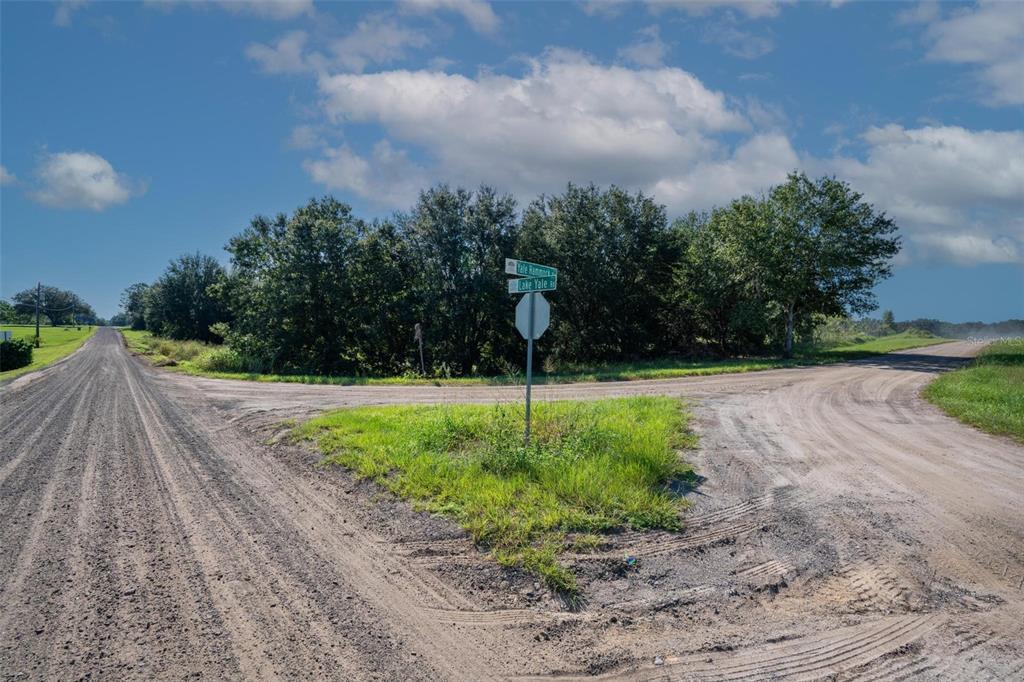 Yale Hammock Road Umatilla, FL 32784 - Photo 25 of 28 a street view with a garden