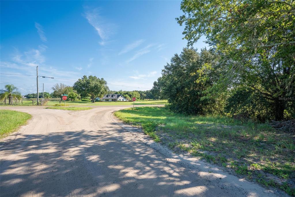 Yale Hammock Road Umatilla, FL 32784 - Photo 26 of 28 a view of a garden with a lake view
