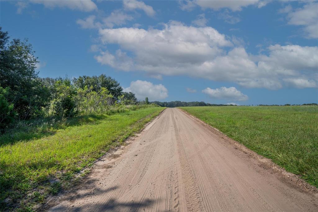 Yale Hammock Road Umatilla, FL 32784 - Photo 27 of 28 a view of a street with a big yard
