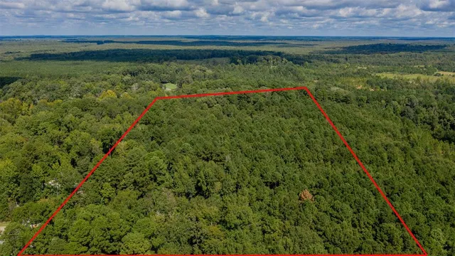 a view of a garden with a lake